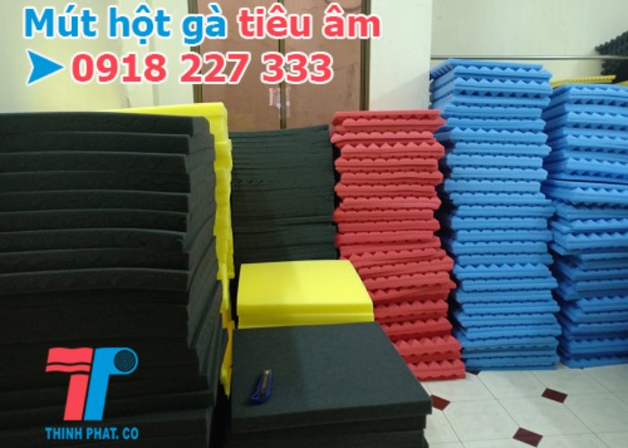 mut-trung-tieu-am-1